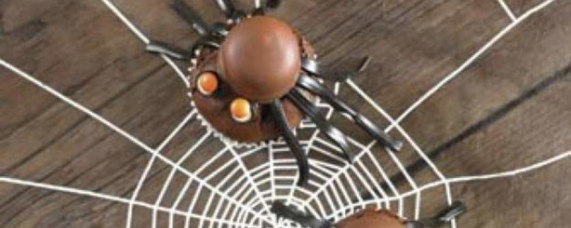 LuvMyRecipe.com - Annabel Karmel's Chocolate Spider Cakes Featured