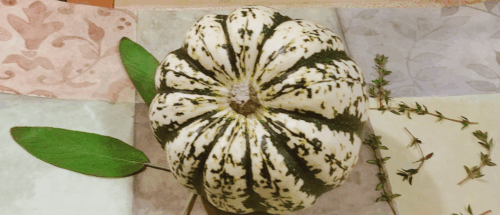Acorn Squash: From Harvest to Table – A Complete Guide to Cook, Store, and Freeze