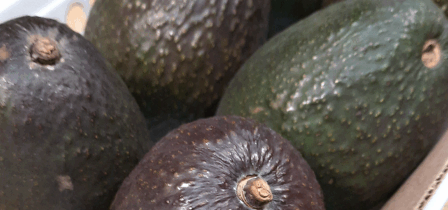 LuvMyRecipe.com - Avocados