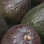 The Ultimate Guide to Picking, Ripening, and Storing Avocados Like a Pro