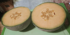LuvMyRecipe.com - Cantaloupes