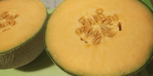 LuvMyRecipe.com - Cantaloupe