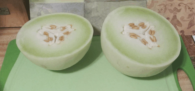 LuvMyRecipe.com - Honey Dew Melons