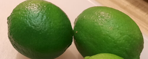 The 411 on Limes and How to Store Them Longer