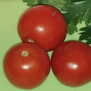 LuvMyRecipe.com - Nightshade Tomato