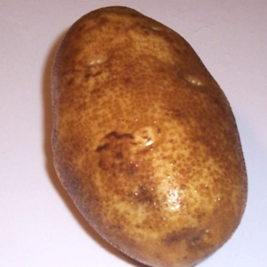 LuvMyRecipe.com - Potato Image