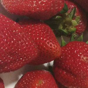 LuvMyRecipe.com - Strawberries