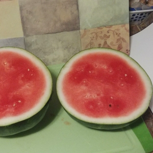 LuvMyRecipe.com -  Watermelon Ends